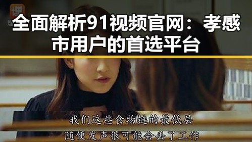 全面解析91视频官网：孝感市用户的首选平台