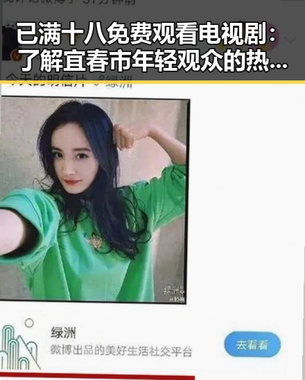 已满十八免费观看电视剧：了解宜春市年轻观众的热门选择