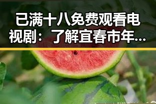 已满十八免费观看电视剧：了解宜春市年轻观众的热门选择