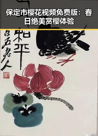 保定市樱花视频免费版:春日绝美赏樱体验