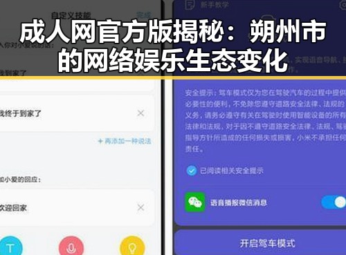 成人网官方版揭秘：朔州市的网络娱乐生态变化