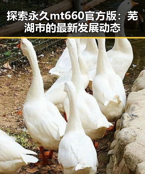 探索永久mt660官方版：芜湖市的最新发展动态