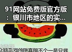 91网站免费版官方版：银川市地区的实用选择