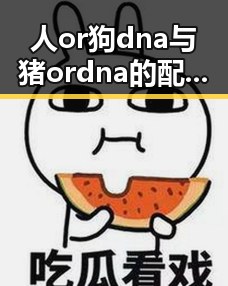人or狗dna与猪ordna的配合与防治官方版下载——探寻安康市最新解决方案