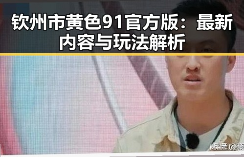 钦州市黄色91官方版：最新内容与玩法解析