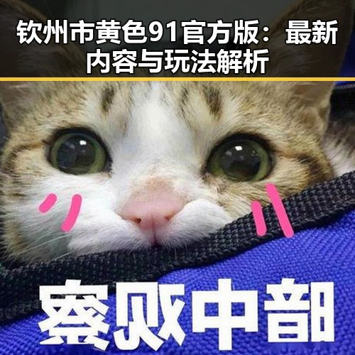 钦州市黄色91官方版：最新内容与玩法解析