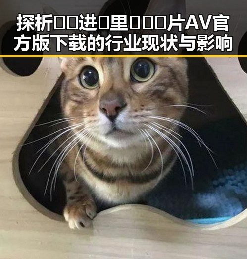 探析🔞🍌进🍑里❌❌❌片AV官方版下载的行业现状与影响