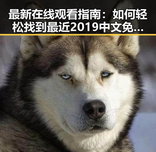 最新在线观看指南:如何轻松找到最近2019中文免费字幕在线观看资源