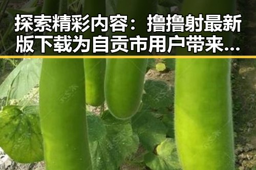 探索精彩内容：撸撸射最新版下载为自贡市用户带来的全新体验
