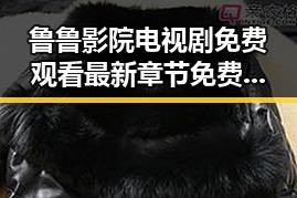 鲁鲁影院电视剧免费观看最新章节免费版：畅享高清剧情新体验
