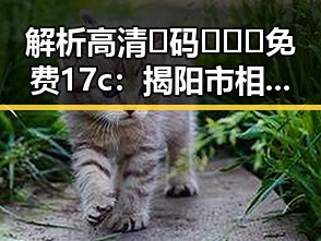 解析高清🈚码🔞❌♋免费17c：揭阳市相关资源现状与发展趋势