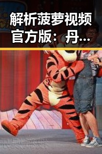 解析菠萝视频官方版：丹东市最新内容全攻略