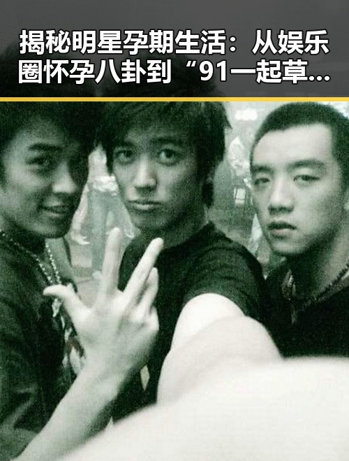 揭秘明星孕期生活：从娱乐圈怀孕八卦到“91 一起草wwwcom91官方版”的背后