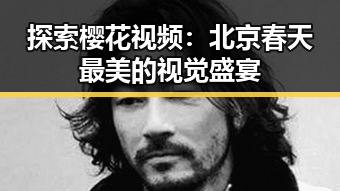 探索樱花视频：北京春天最美的视觉盛宴