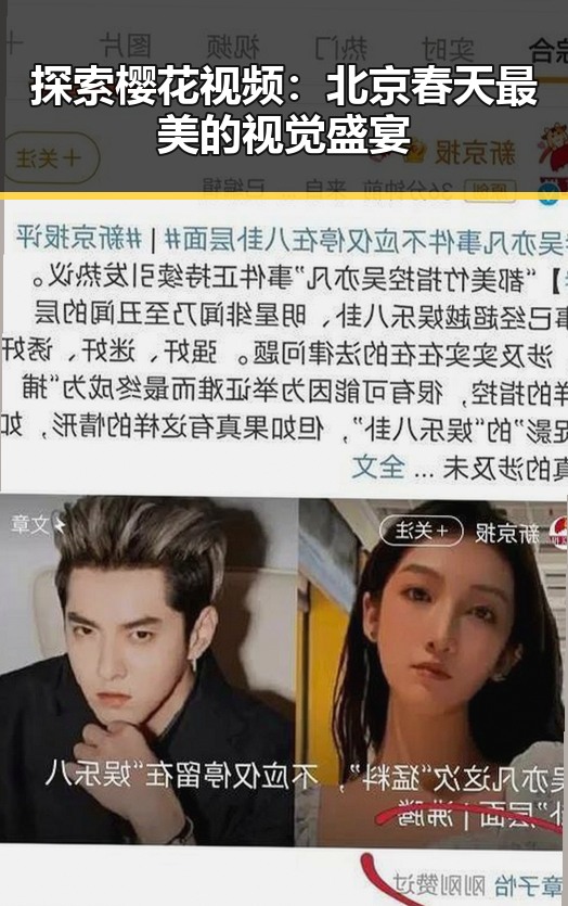 探索樱花视频：北京春天最美的视觉盛宴
