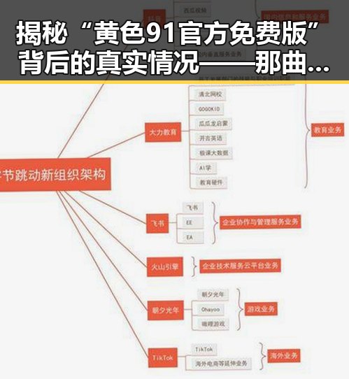揭秘“黄色91官方免费版”背后的真实情况——那曲市的特殊体验