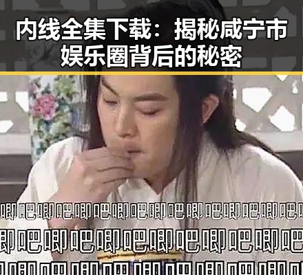 内线全集下载：揭秘咸宁市娱乐圈背后的秘密