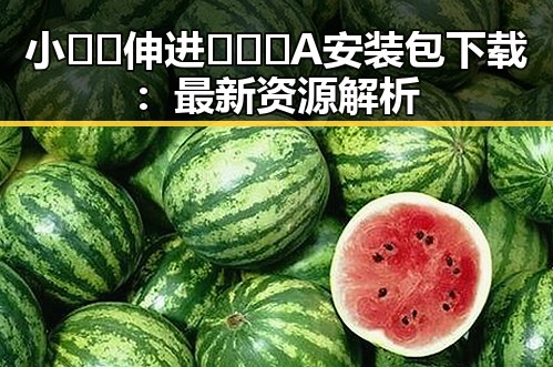 小🐔🐔伸进🈲🔞🔞A安装包下载：最新资源解析