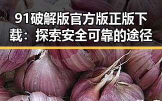 91破解版官方版正版下载：探索安全可靠的途径