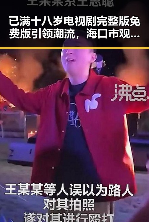 已满十八岁电视剧完整版免费版引领潮流，海口市观众热议