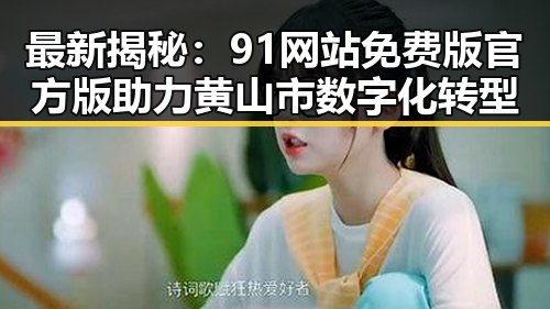 最新揭秘：91网站免费版官方版助力黄山市数字化转型