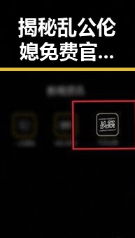 揭秘乱公伦媳免费官方版免费版背后的争议与内幕