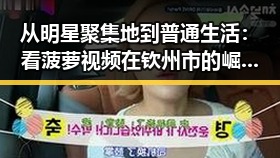 从明星聚集地到普通生活：看菠萝视频在钦州市的崛起与反差