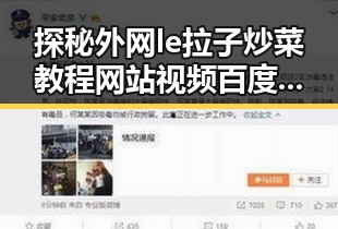 探秘外网le拉子炒菜教程网站视频百度绿色版：宁波市的最新风向