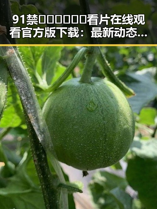 91禁🍆🍑🔞❌❌❌看片在线观看官方版下载：最新动态与趋势分析
