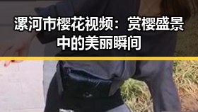 漯河市樱花视频：赏樱盛景中的美丽瞬间
