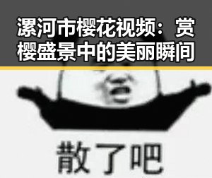 漯河市樱花视频：赏樱盛景中的美丽瞬间