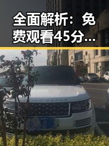 全面解析：免费观看45分钟高清电视动漫官方免费版的现状与优势