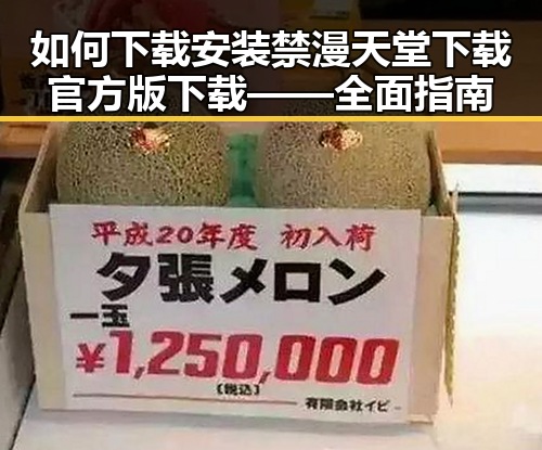 如何下载安装禁漫天堂下载官方版下载——全面指南