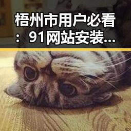 梧州市用户必看：91网站安装包下载指南