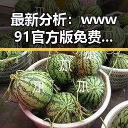 最新分析：www91官方版免费版在黄石市的现状与应用前景