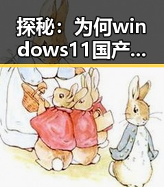探秘：为何windows11国产免费软件官方版成为丽江市用户的新宠