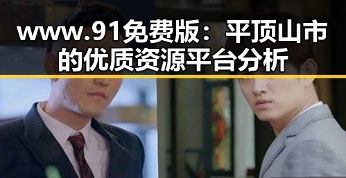www.91免费版：平顶山市的优质资源平台分析