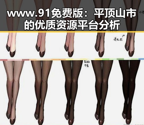 www.91免费版：平顶山市的优质资源平台分析
