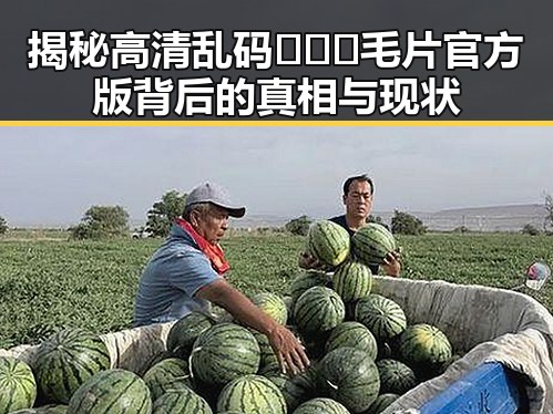 揭秘高清乱码🔞❌♋毛片官方版背后的真相与现状