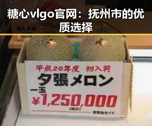 糖心vlgo官网：抚州市的优质选择