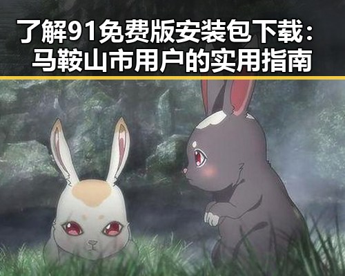 了解91免费版安装包下载:马鞍山市用户的实用指南
