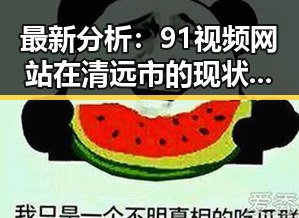 最新分析：91视频网站在清远市的现状与发展趋势