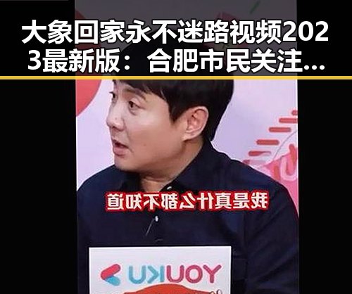大象回家永不迷路视频2023最新版：合肥市民关注的温馨故事
