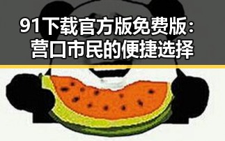 91下载官方版免费版：营口市民的便捷选择