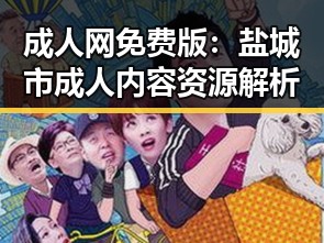 成人网免费版：盐城市成人内容资源解析