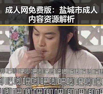 成人网免费版：盐城市成人内容资源解析