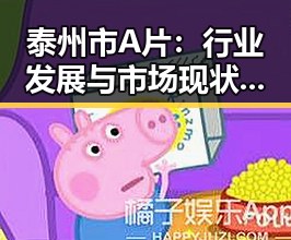 泰州市A片：行业发展与市场现状分析