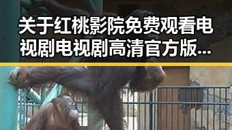 关于红桃影院免费观看电视剧电视剧高清官方版的最新讨论
