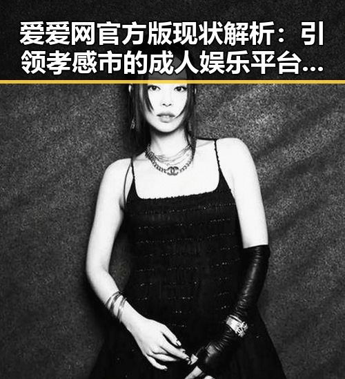 爱爱网官方版现状解析：引领孝感市的成人娱乐平台新趋势