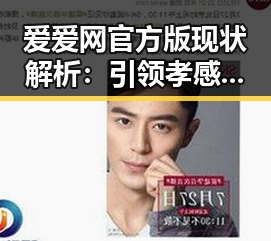 爱爱网官方版现状解析：引领孝感市的成人娱乐平台新趋势